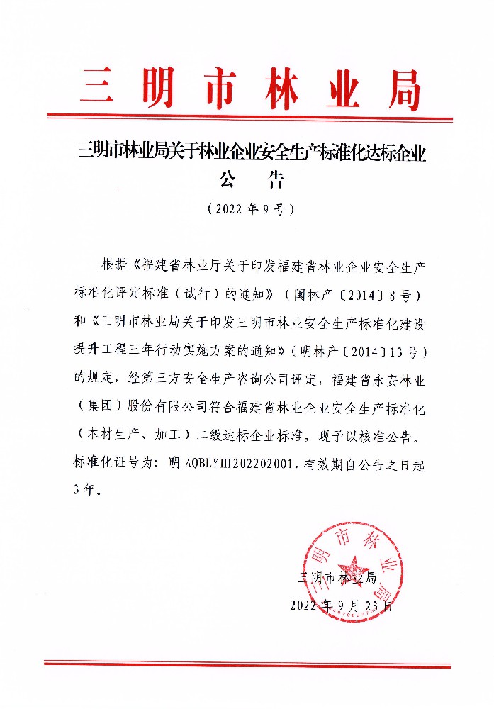 安全生產(chǎn)標(biāo)準(zhǔn)化二級(jí)達(dá)標(biāo)企業(yè)