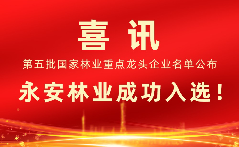 第五批國家林業(yè)重點龍頭企業(yè)名單發(fā)布！永安林業(yè)成功入選！