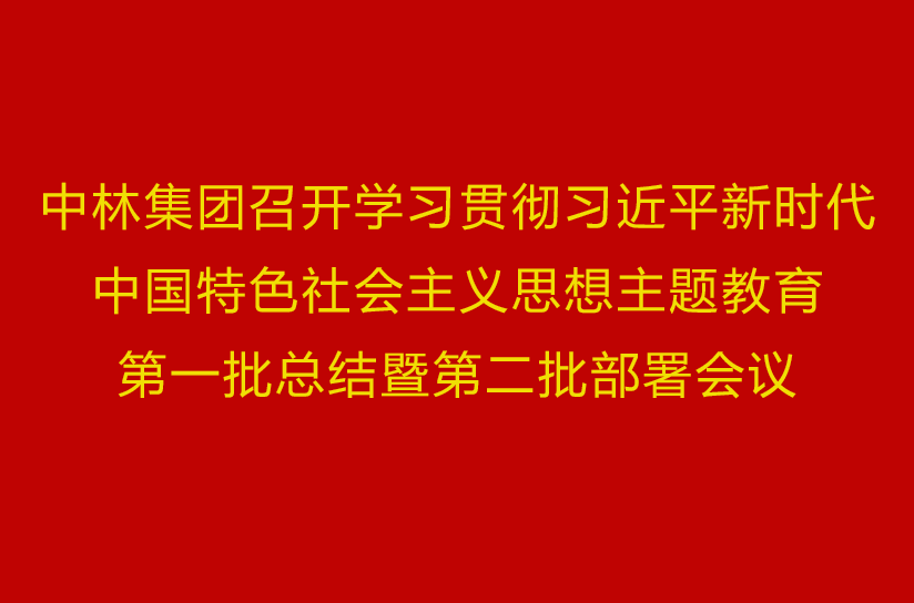 中林集團(tuán)召開學(xué)習(xí)貫徹習(xí)近平新時(shí)代中國特色社會(huì)主義思想主題教育第一批總結(jié)暨第二批部署會(huì)議