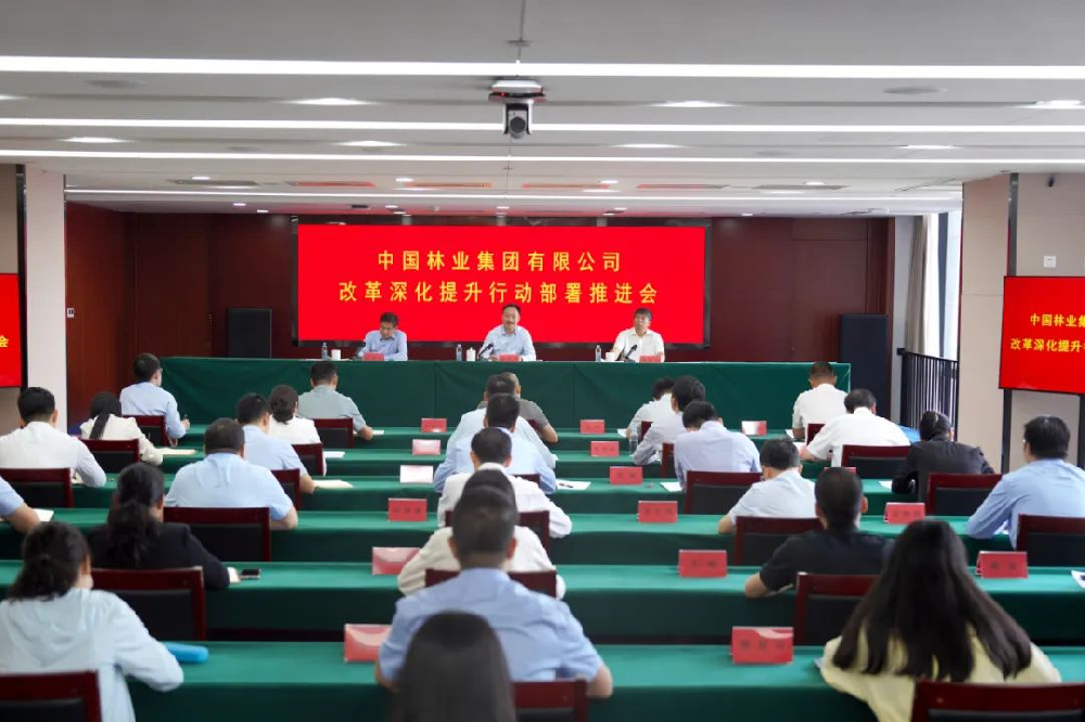 中林集團(tuán)召開改革深化提升行動(dòng)部署推進(jìn)會(huì)議