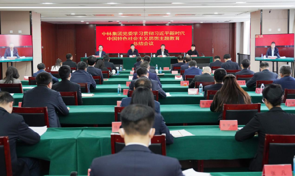 中林集團黨委召開學習貫徹習近平新時代中國特色社會主義思想主題教育總結會議