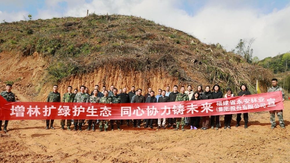 植此綠美 共樹未來 | 永安林業(yè)開展2024年義務(wù)植樹活動