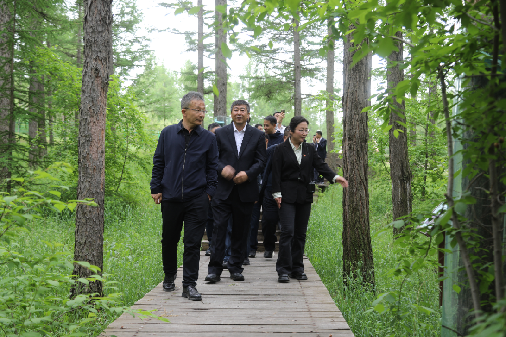 中國林業(yè)集團赴塞罕壩林場學習調(diào)研